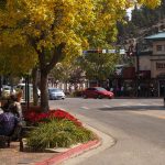 things to do in estes park colorado